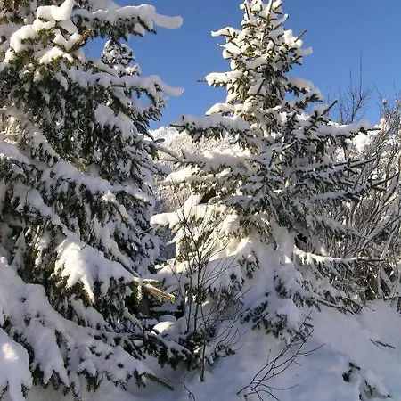 Pensiun Trais Piz Auberge de jeunesse Bever